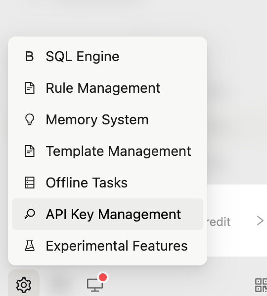 设置菜单中的 API Key Management 入口